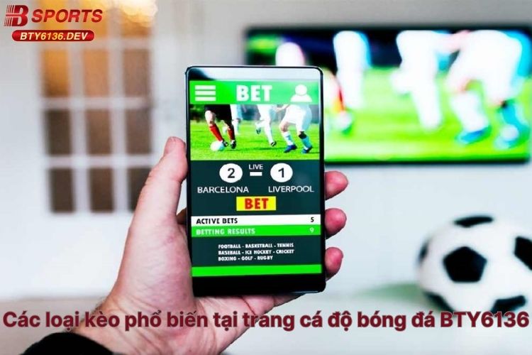cac-loai-keo-pho-bien-tai-trang-ca-do-bong-da-bty6136